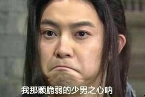 沙溢傻笑表情包